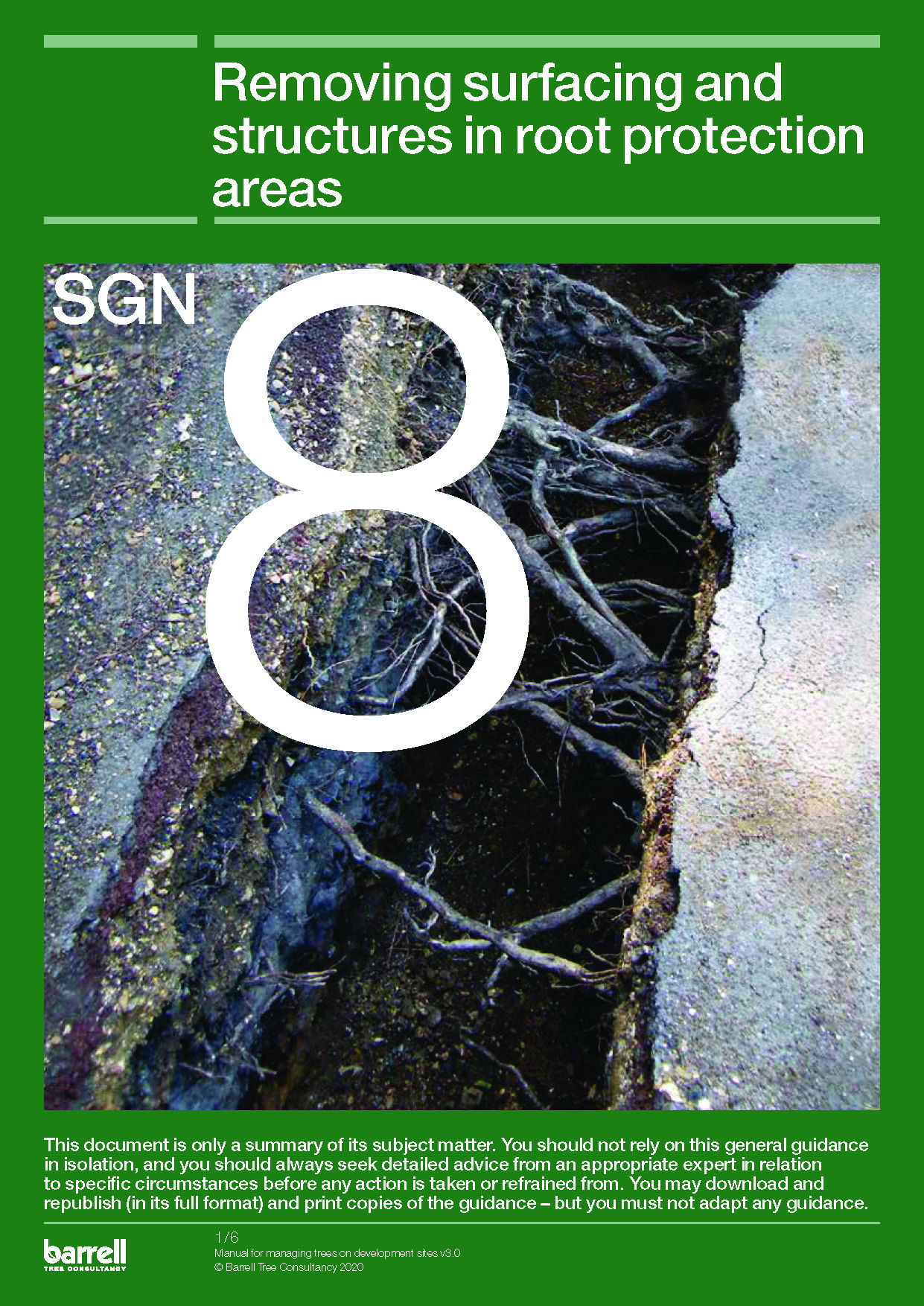 Pages from SGN 8 Removing Surfaces V3